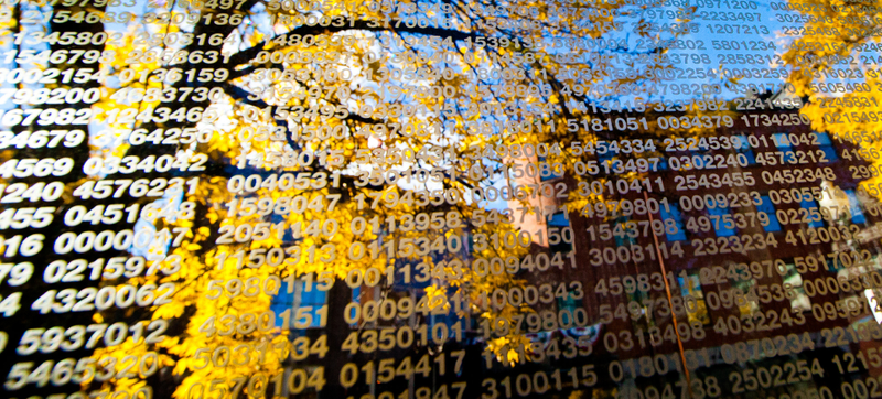 Illustration for article titled Hunting for Random: The Quest to Find Numbers That Keep Your Data Safe